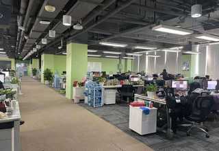 永春专注研究发育商测评哪家好